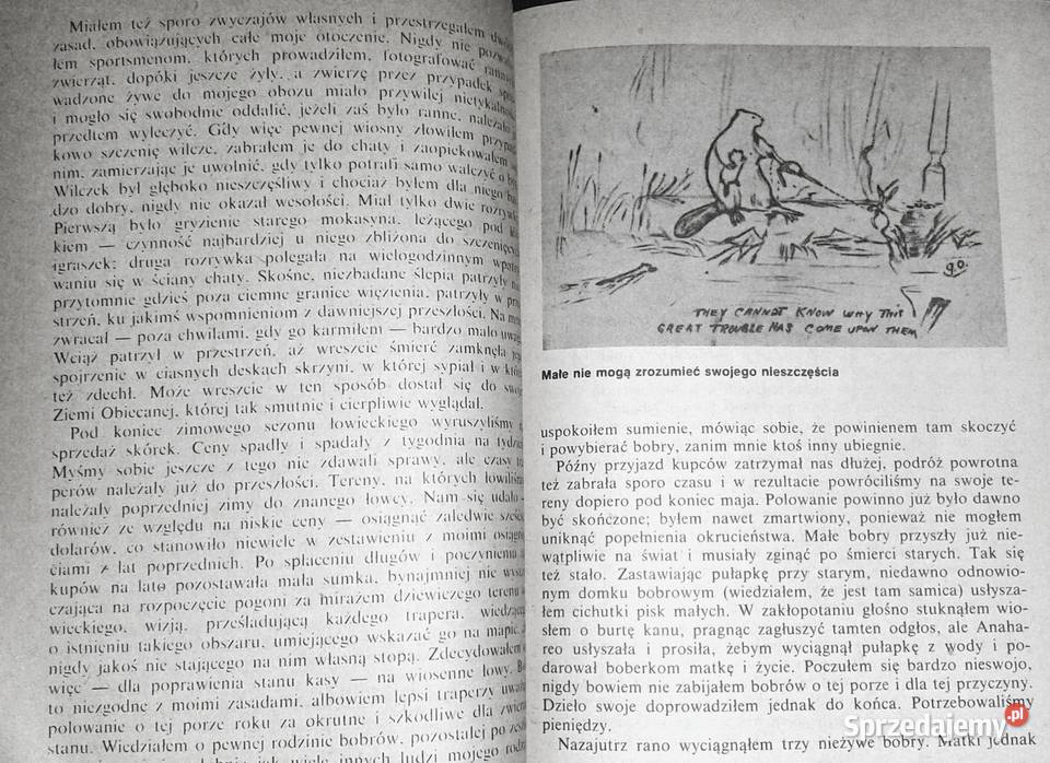 Pielgrzymi puszczy Grey Owl Rok wydania 1985 lubelskie Chełm