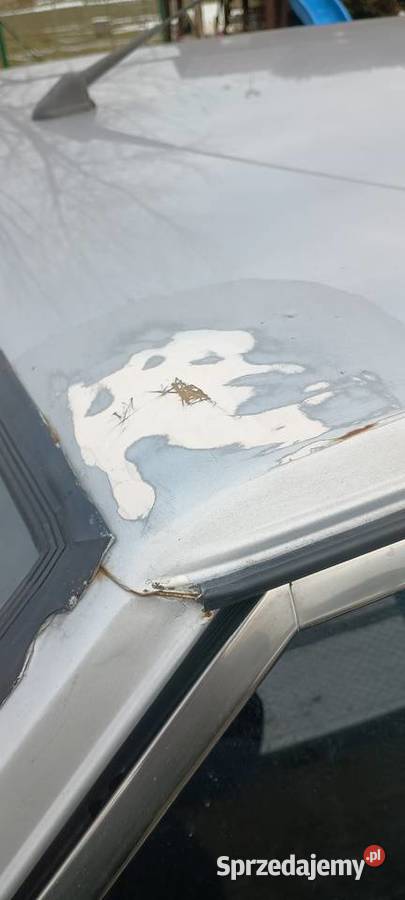 Polonez caro plus 16gli śląskie Gliwice