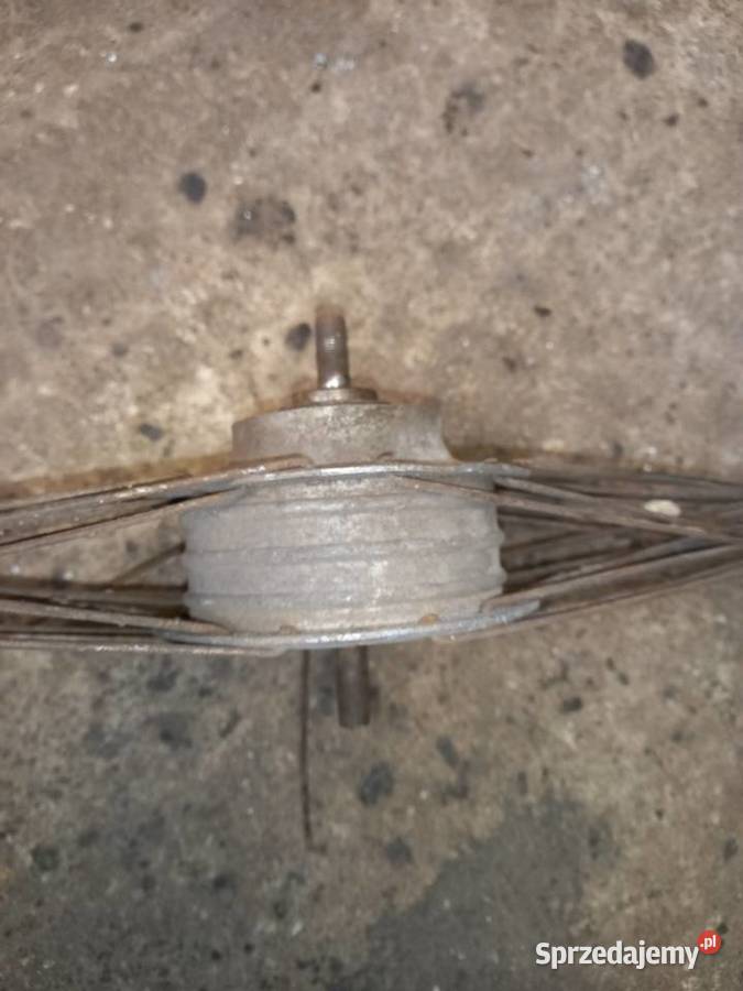 Piasta tyl zak rys Sokołów Podlaski