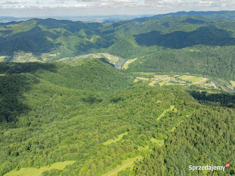 Las w Krościenku Dunajcem 6737m2 Krościenko nad Dunajcem