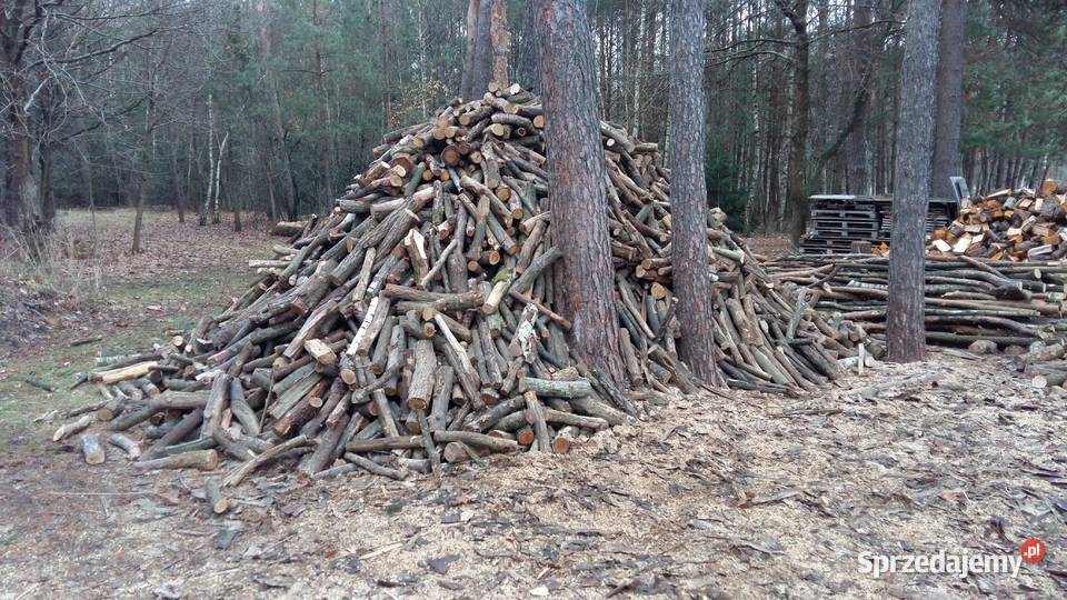 Drewno drzewo opałowe sosna dąb liściaste mazowieckie Łosice sprzedam