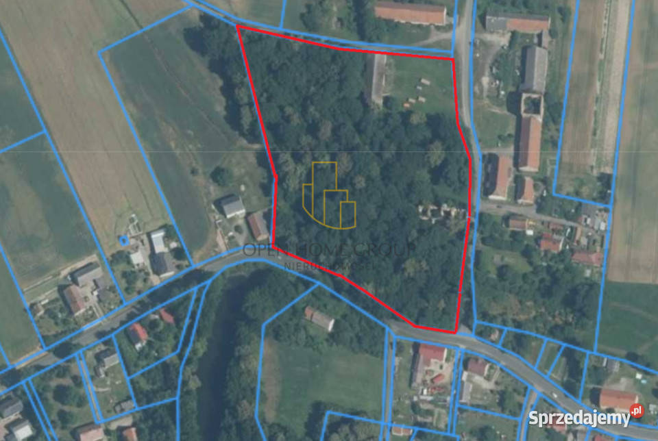 DomPałac obiekt zabytkowy wybudowany w 1782r Rok budowy 1782 Wojciechów sprzedam