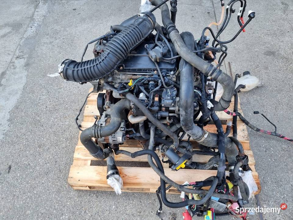 Silnik renaultmaster 23 cdi 125 Ruda Śląska