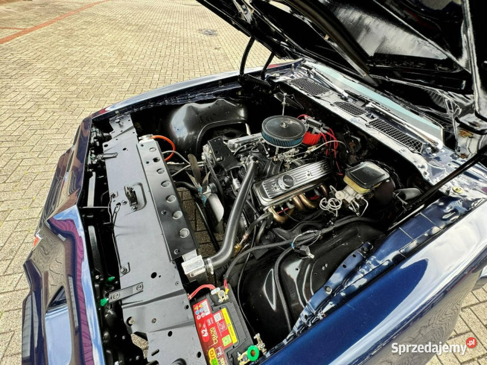 Pontiac Firebird Trans Am MIDNIGHT BLUE 1981 do
