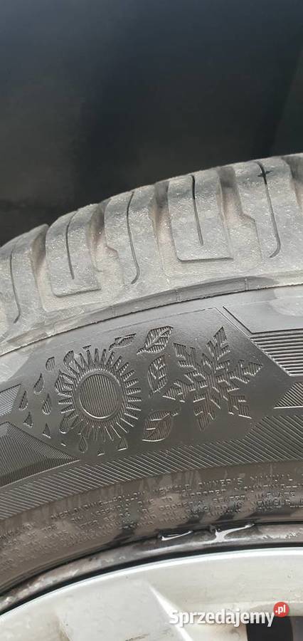 18565 r15 Barum quartaris all seasons 65 Gliwice