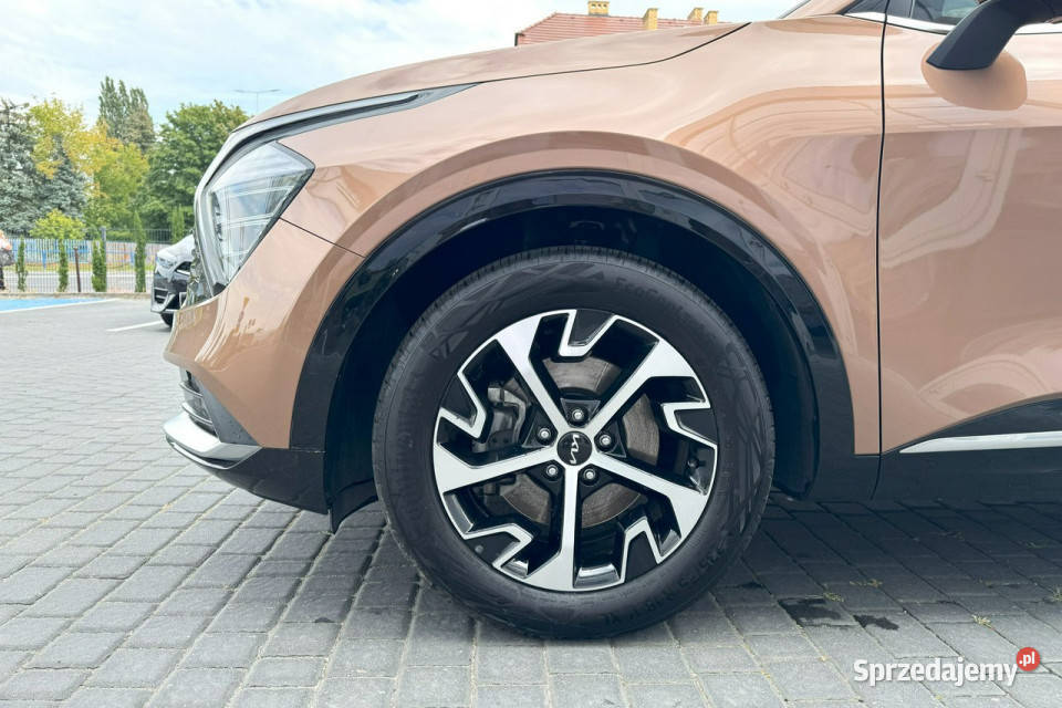Kia Sportage Business Line 16 TGDI150 Toruń