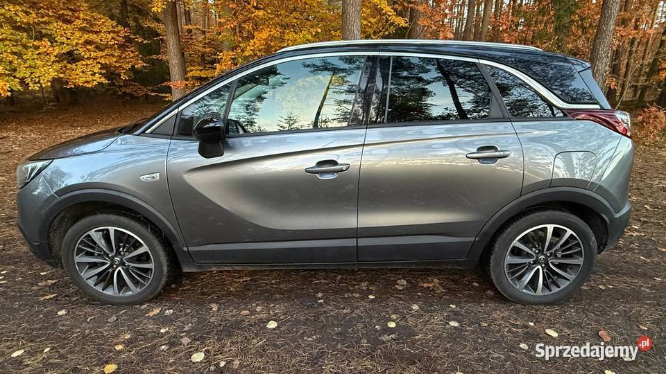 12i Automat 62 Zarejestrowany Piła