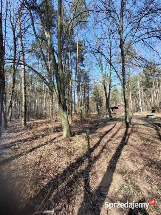 Grunt 2800m2 Sięganów sprzedam