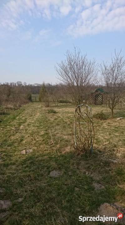 DZIAŁKA REKREACYJNA 63zł/m2 Łęczna sprzedam