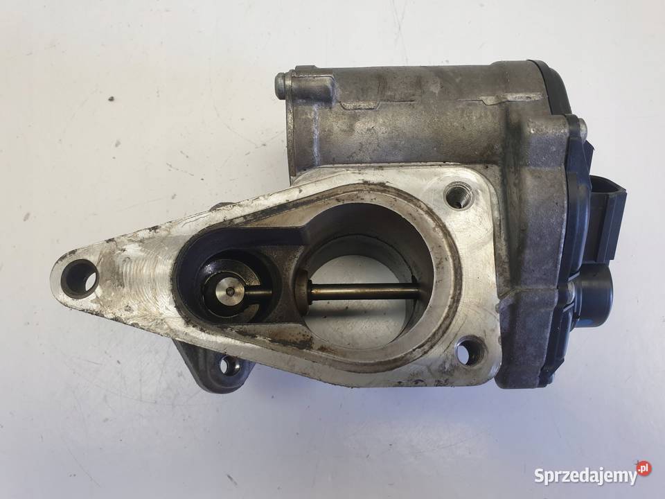 Renault Scenic II 19 DCI ZAWÓR EGR osobowe lubelskie Rudka