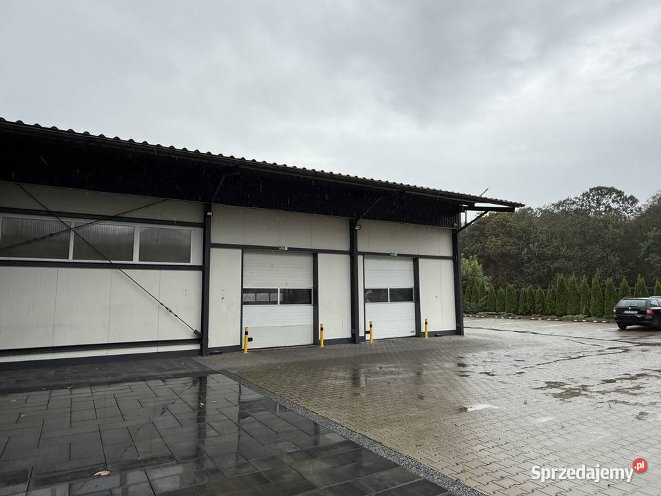 Syndyk wydzierżawi przedsiębiorstwo BIMIZ FOOD Radzyń Podlaski