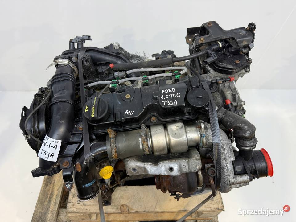 SILNIK T3JA Ford Fiesta VII MK7 16 TDCI 95 Chełm