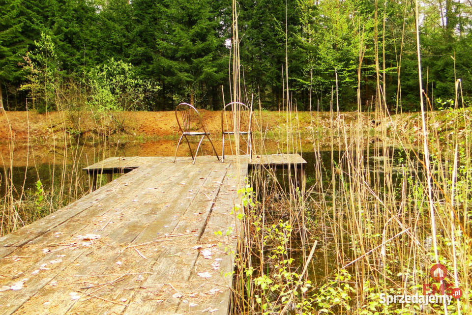 Grunt 8316m2 Rafałówka rekreacyjna podlaskie