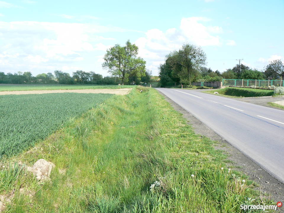 GOSPODARSTWO ROLNE Zubowice