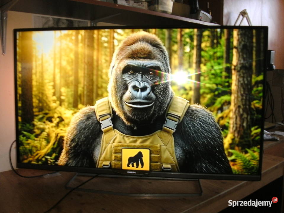 Philips LED 42 Smart TV z WiFi 3D Ambilight 43cale Karlino