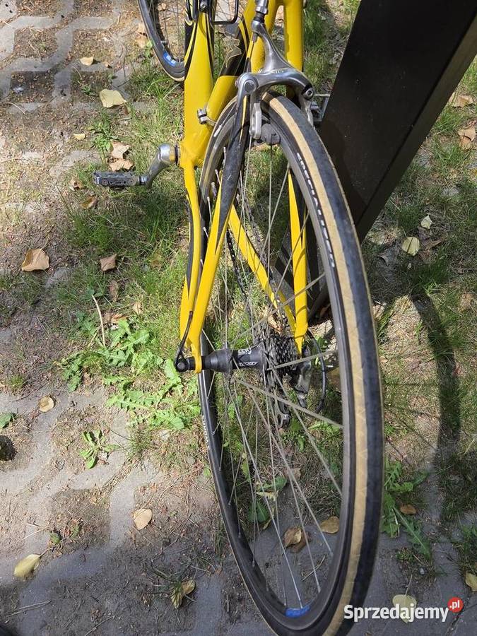 Rower szosowySpecialized Allez Elite Shimano Sokolniki-Las