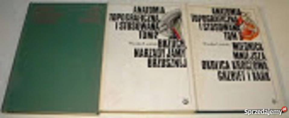 Anatomia topograficzna stosowana tom 13 Książki naukowe i popularnonaukowe Kobielice