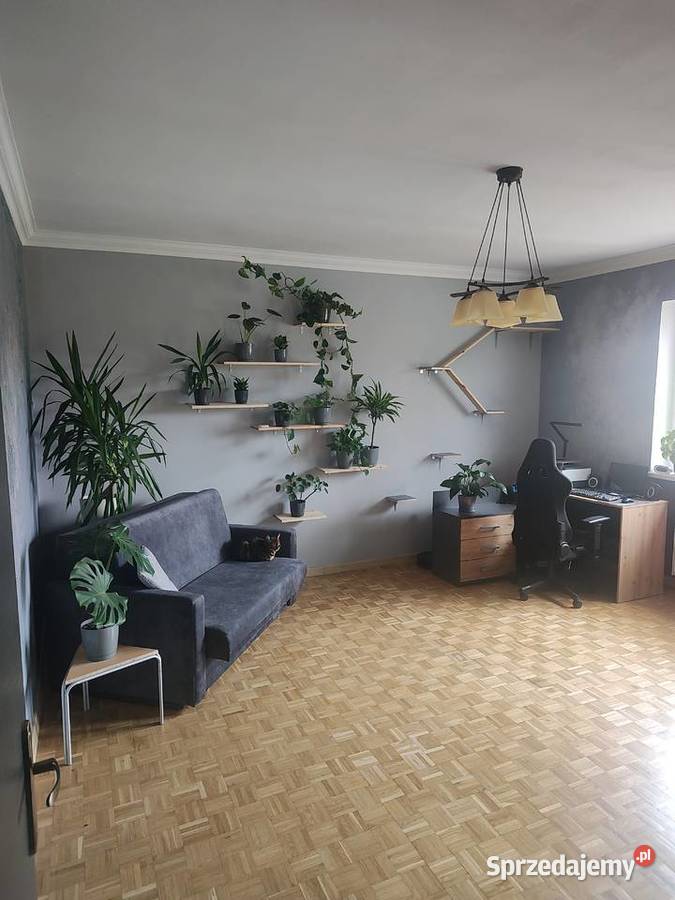 Wyjątkowy dom jednorodzinny bliźniak w centrum mieszkalny Toruń