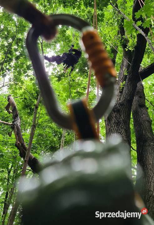Prace arborystyczne Arborysta Sokołów Podlaski