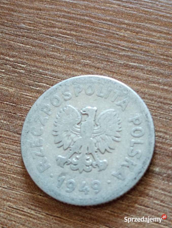 sprzedam piate 1 zl 1949 r bzm Chełm