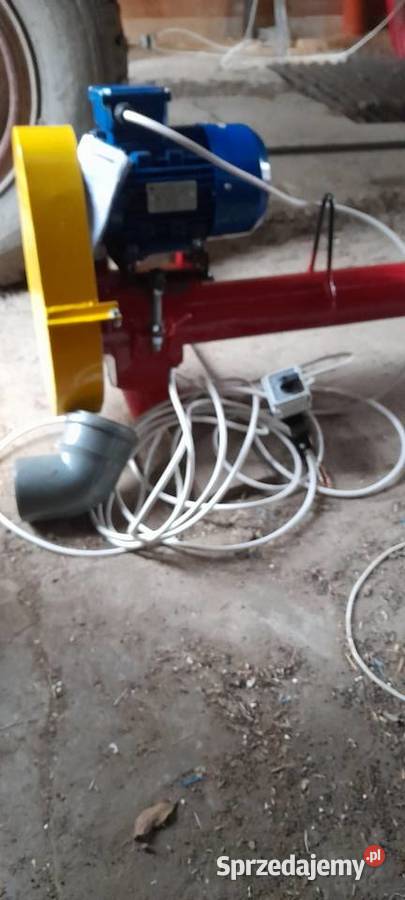 Żmijka nieuszkodzony Krasnystaw