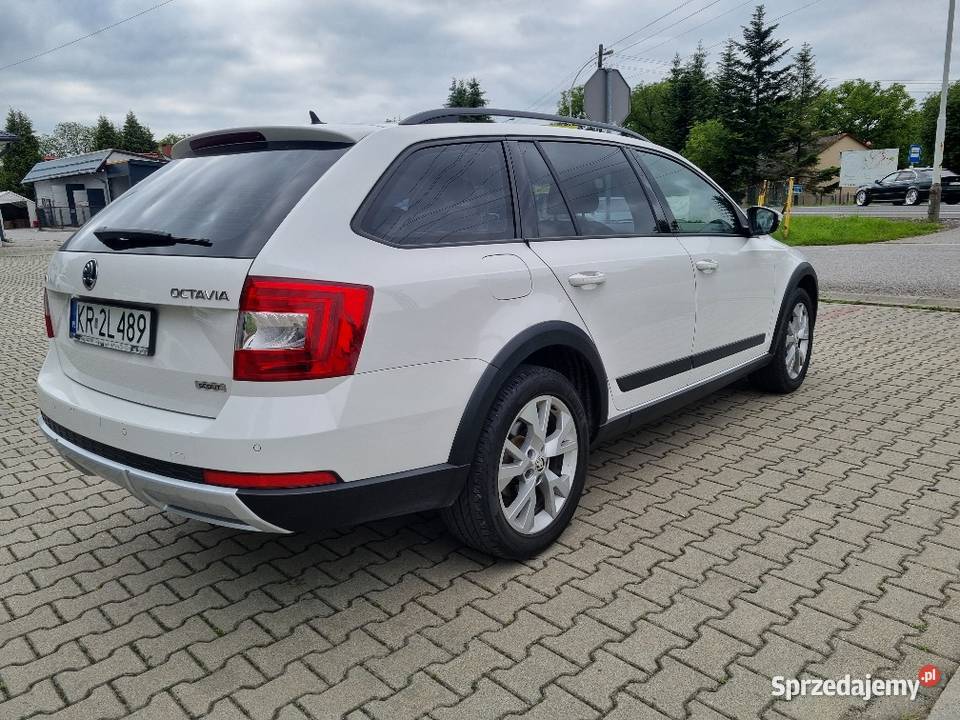 Scout4x4 20 TDI DSG ASOSALON FVAT pełny VAT Przeworsk