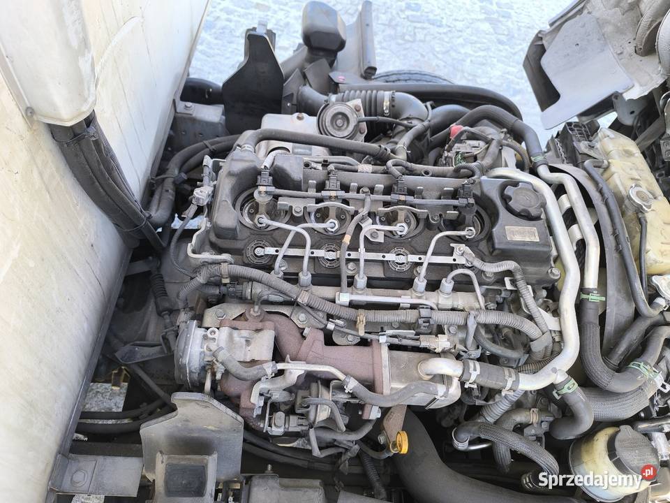 Renault Maxity chłodnia winda 130KM Inowrocław