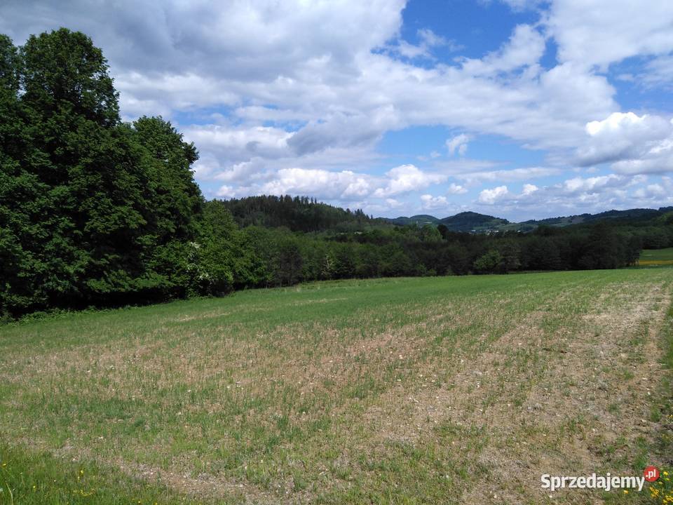 Działka z decyzją o war zabudowy Czarnej Góry Idzików