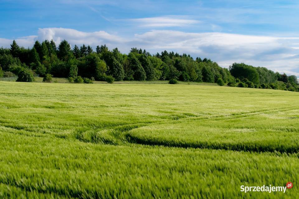 Pomoc w uzgodnieniu dokumentacji środowiskowej Wrocław