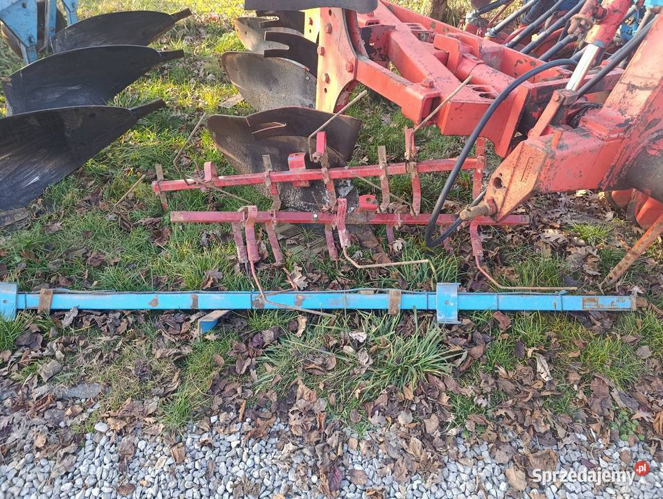 Siewnik zbożowy talerzowy lemken amazone hassia Borki