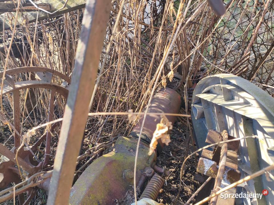 Sprzedam w hurcie małopolskie Radłów sprzedam