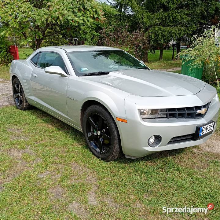 Chevrolet Camaro 36 nieuszkodzony Hajnówka