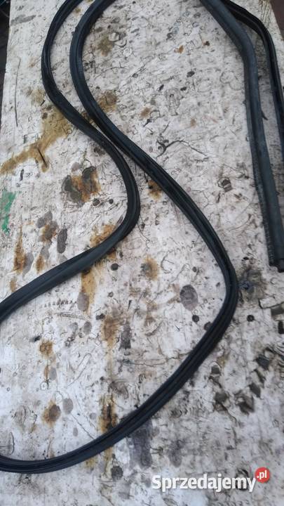 Polonez Caro Plus Stalowa Wola