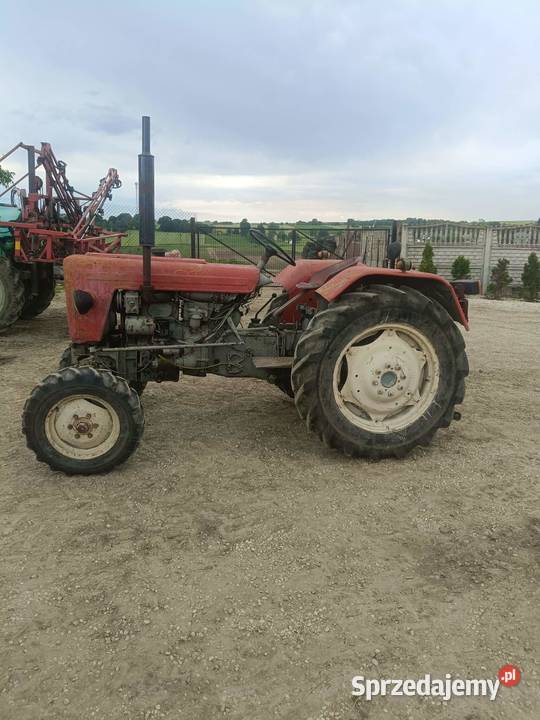 Ursus c328