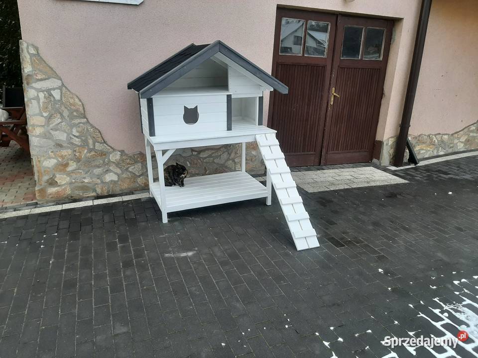 Buda dwóch kotów Jordanów sprzedam