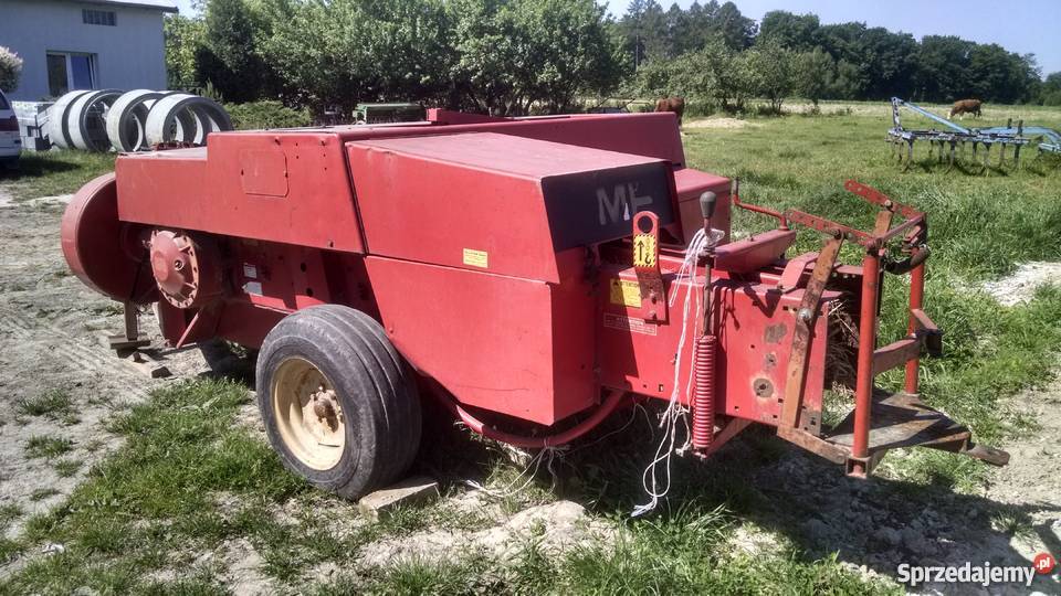 Prasa kostkująca MASSEY FERGUSON 124 Kostkujące Glinik Średni