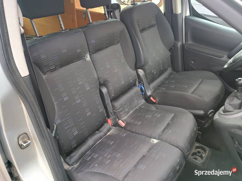 Citroen Berlingo LONG 16HDi 3osobowy 2009 Rok produkcji 2009 wielkopolskie Witkowo