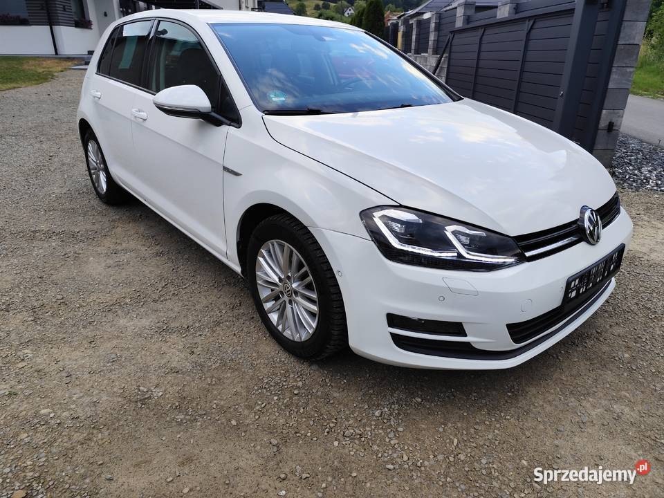Volkswagen Golf VII 16 TDI 110 sprzedam