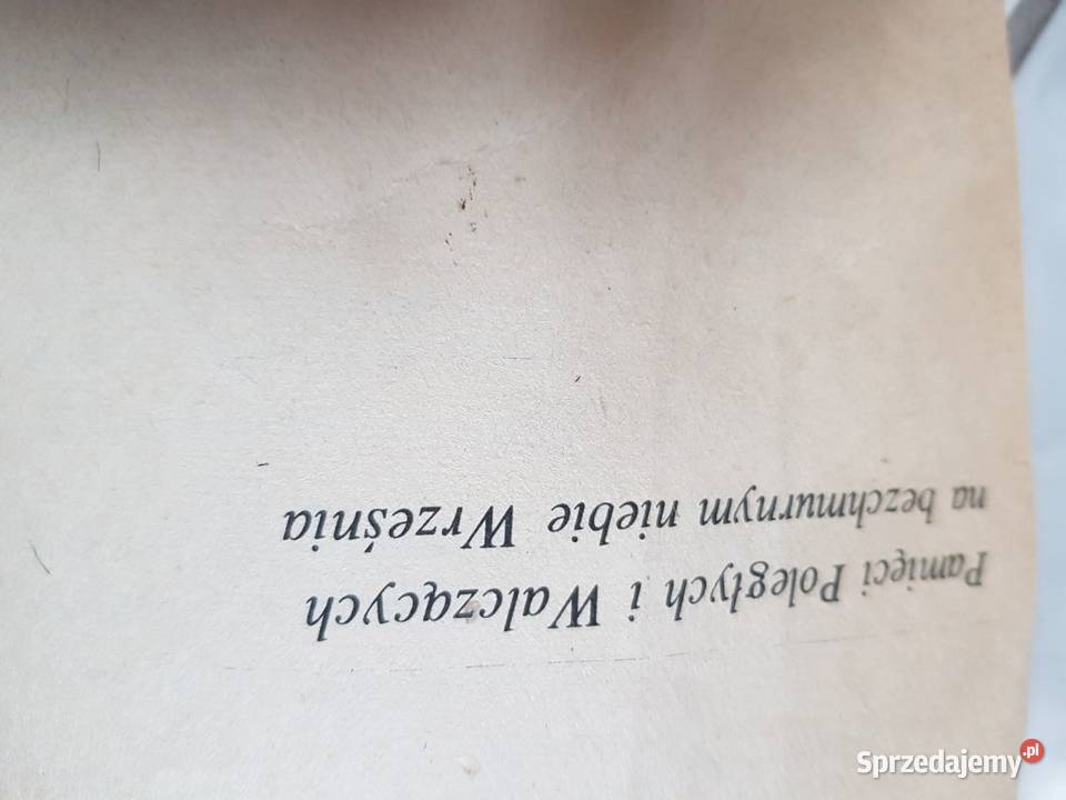 Polskie eskadry w Wojnie Obronnej 1939 Jerzy Kielce