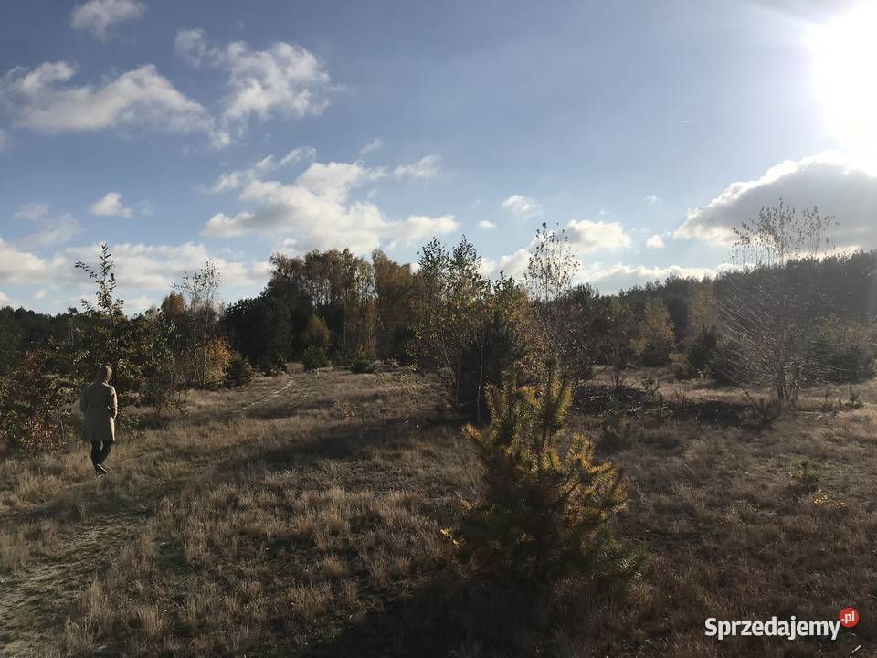 Sprzedam działki budowlane Sprzedaż Chinów
