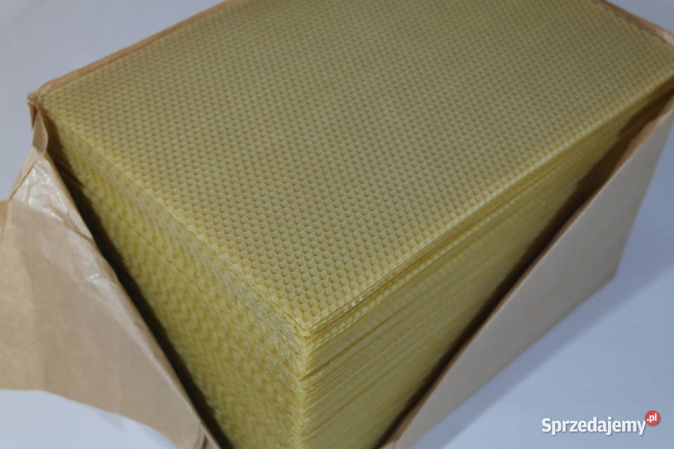 Węza pszczela Pszczelarstwo Kraków