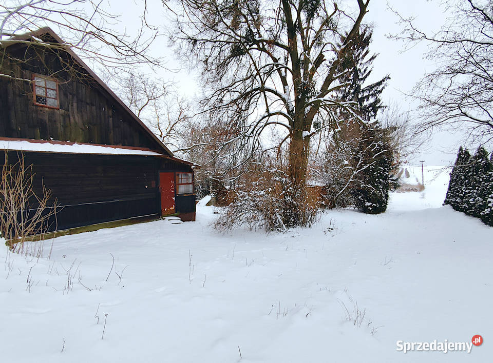 Sprzedam nieruchomość w Klementowicach do remontu Sprzedaż Klementowice