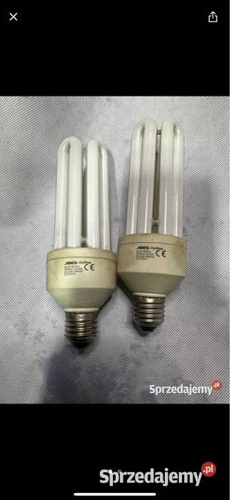 Żarówka ANS lighting E27 30 W Gliwice