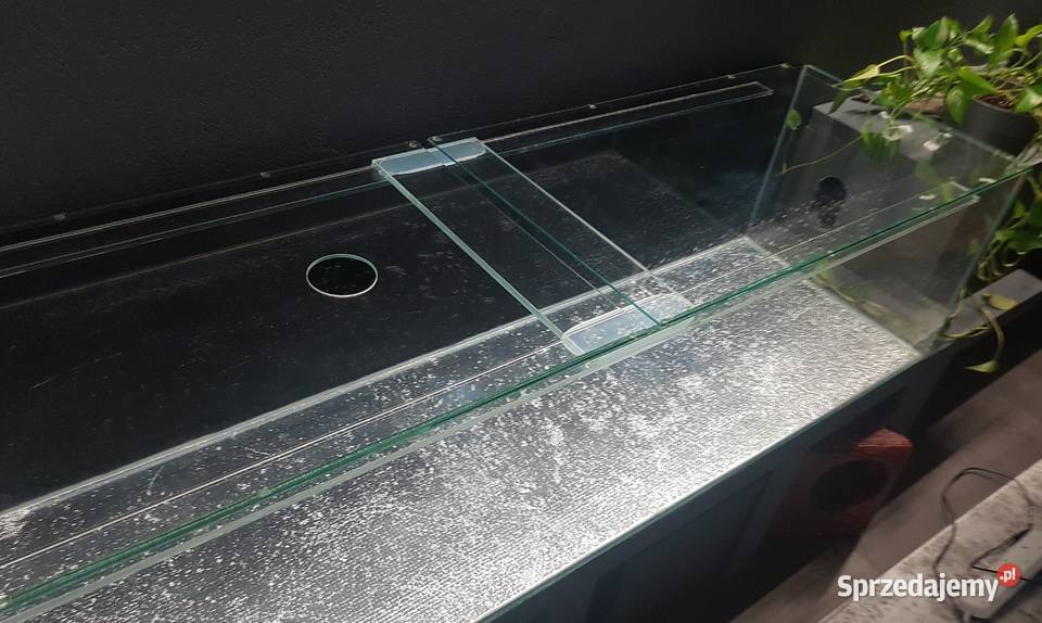 Piękne akwarium jamnik 300l 170 długości Ryby Lublin
