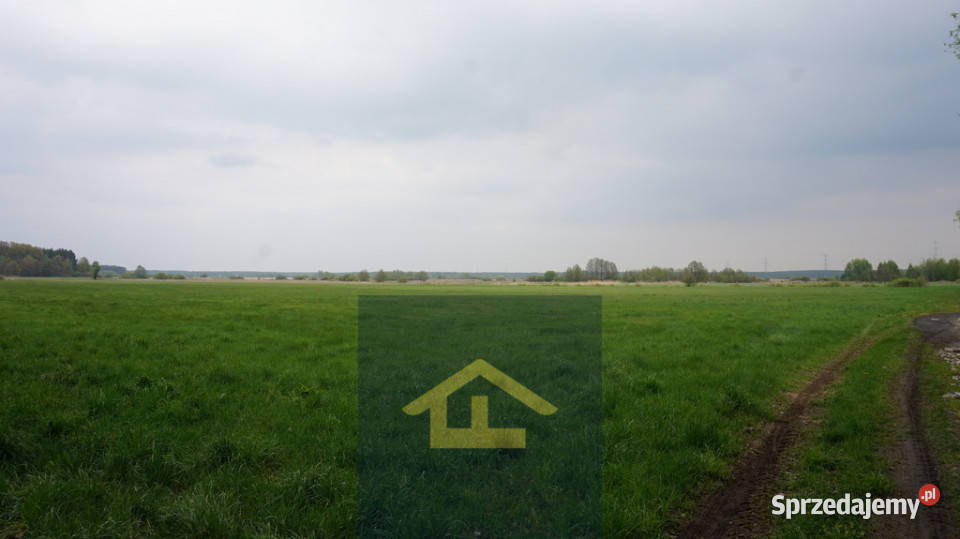 Nieruchomość w Całowaniu Całowanie sprzedam