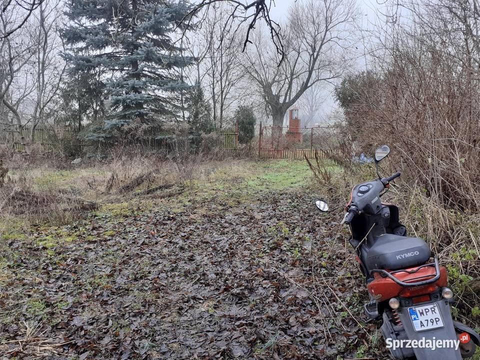 KYMCO AGILITY 50 pas napędowy Kymco Jurków Drugi