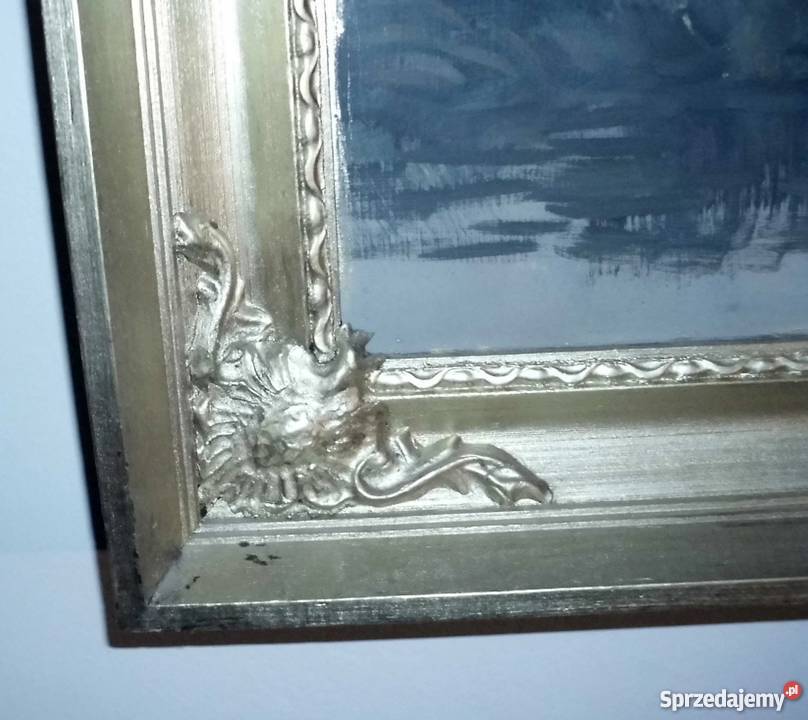 Chata jeziorem STARY OBRAZ SPRZEDAM likwidacja Kraków