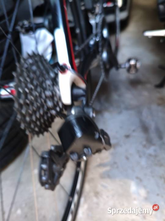 focus cayo carbon Di2 Katowice