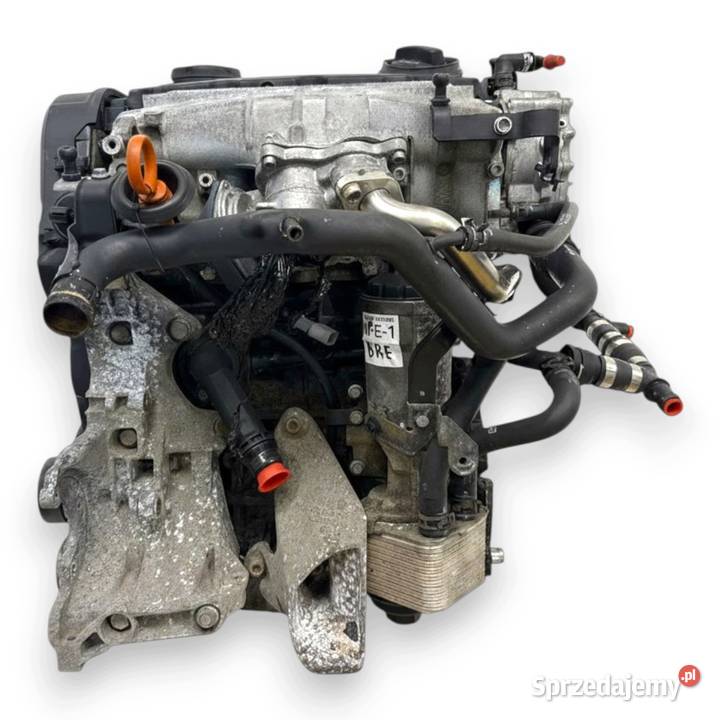 SILNIK BRE Audi A4 B7 A6 C6 20 TDI 140 diesel Chełm