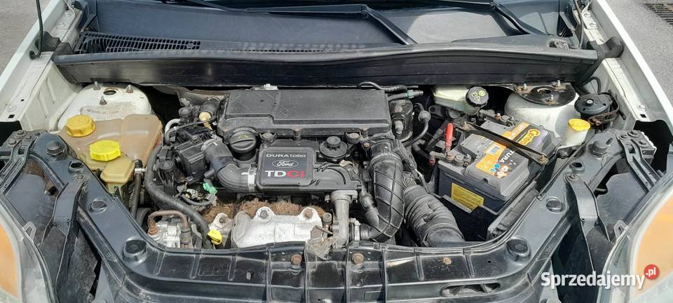 Ford Fusion 2006 14 diesel Fusion Świdnik